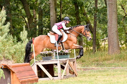 Goldene Schärpe Ponys in Hohenberg Krusemark 2024 | 13072024 Gelände 1 Abt_775 