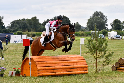 Goldene Schärpe Ponys in Hohenberg Krusemark 2024 | 13072024 Gelände 1 Abt_777 