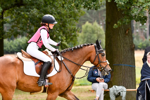 Goldene Schärpe Ponys in Hohenberg Krusemark 2024 | 13072024 Gelände 1 Abt_779 