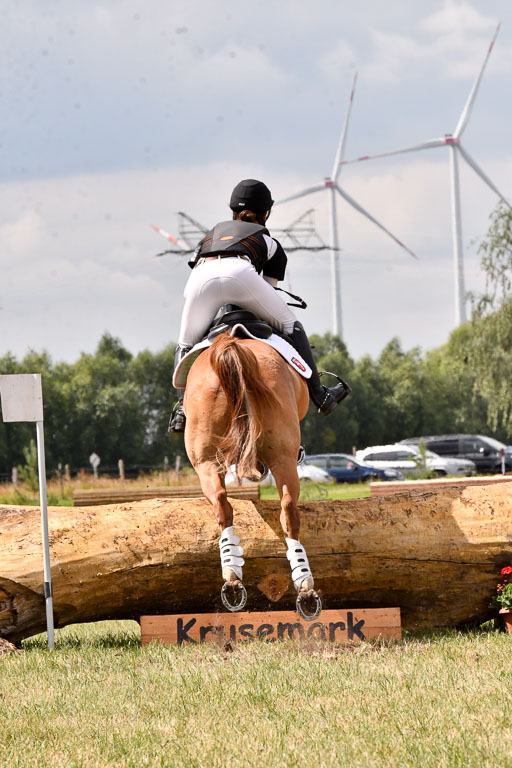 Goldene Schärpe Ponys in Hohenberg Krusemark 2024 | 13072024 Gelände 1 Abt_782 