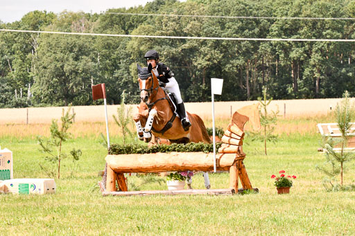 Goldene Schärpe Ponys in Hohenberg Krusemark 2024 | 13072024 Gelände 1 Abt_785 