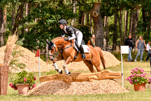 Goldene Schärpe Ponys in Hohenberg Krusemark 2024 | 13072024 Gelände 1 Abt_790 