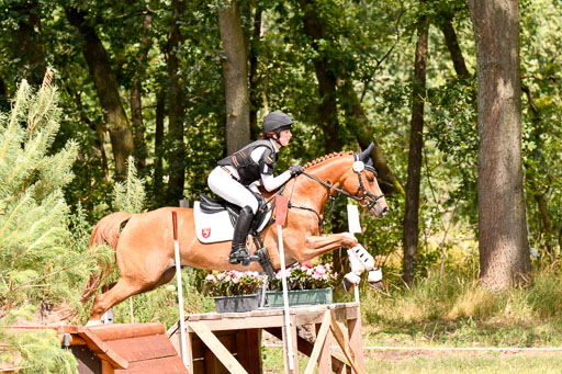 Goldene Schärpe Ponys in Hohenberg Krusemark 2024 | 13072024 Gelände 1 Abt_791 