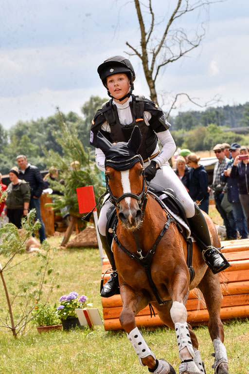 Goldene Schärpe Ponys in Hohenberg Krusemark 2024 | 13072024 Gelände 1 Abt_796 