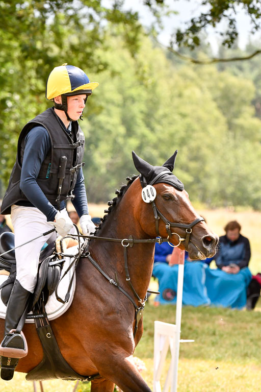 Goldene Schärpe Ponys in Hohenberg Krusemark 2024 | 13072024 Gelände 1 Abt_801 