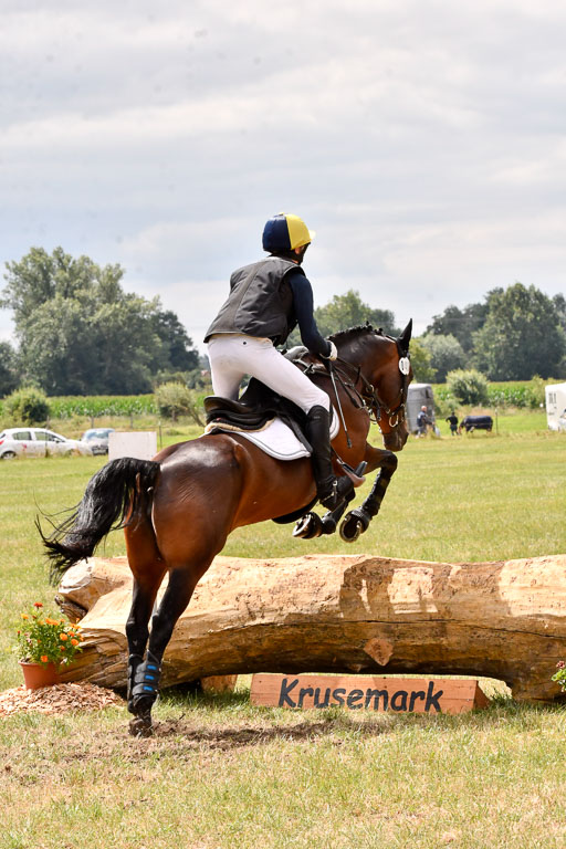 Goldene Schärpe Ponys in Hohenberg Krusemark 2024 | 13072024 Gelände 1 Abt_802 