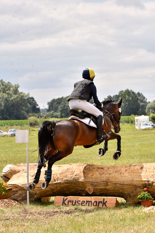 Goldene Schärpe Ponys in Hohenberg Krusemark 2024 | 13072024 Gelände 1 Abt_803 