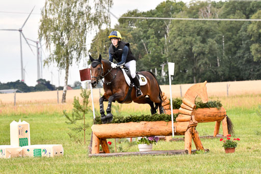 Goldene Schärpe Ponys in Hohenberg Krusemark 2024 | 13072024 Gelände 1 Abt_806 