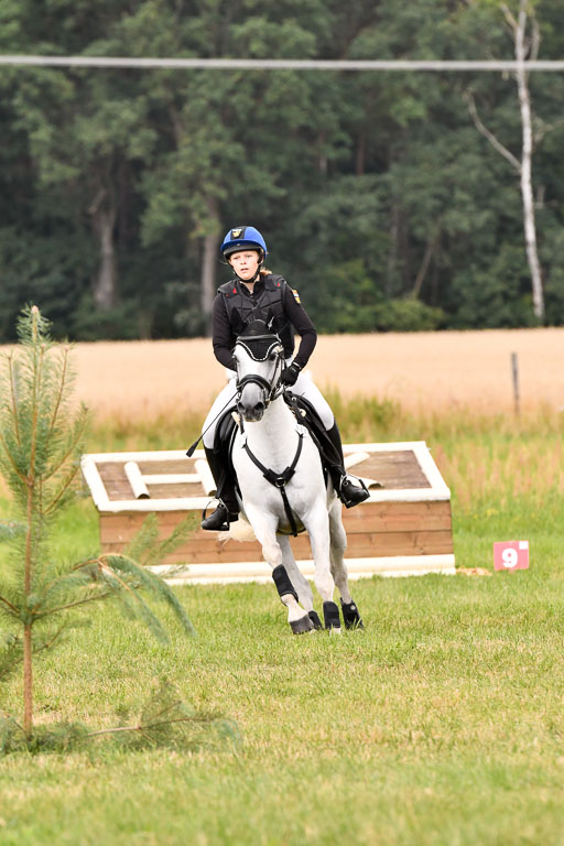 Goldene Schärpe Ponys in Hohenberg Krusemark 2024 | 13072024 Gelände 1 Abt_819 