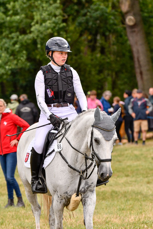Goldene Schärpe Ponys in Hohenberg Krusemark 2024 | 13072024 Gelände 1 Abt_821 