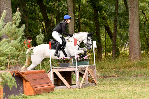 Goldene Schärpe Ponys in Hohenberg Krusemark 2024 | 13072024 Gelände 1 Abt_825 