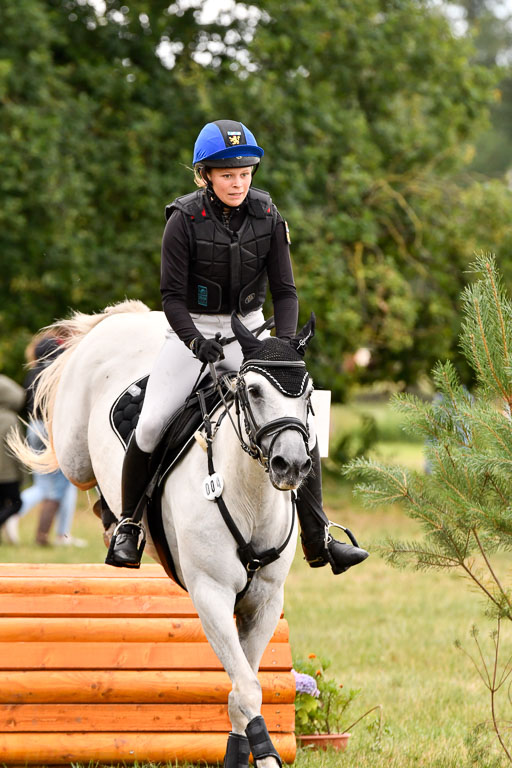 Goldene Schärpe Ponys in Hohenberg Krusemark 2024 | 13072024 Gelände 1 Abt_827 