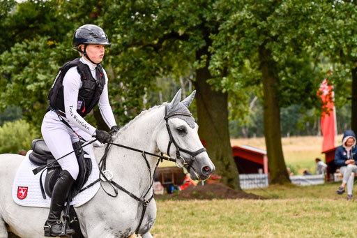 Goldene Schärpe Ponys in Hohenberg Krusemark 2024 | 13072024 Gelände 1 Abt_838 