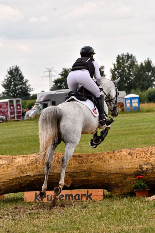 Goldene Schärpe Ponys in Hohenberg Krusemark 2024 | 13072024 Gelände 1 Abt_839 