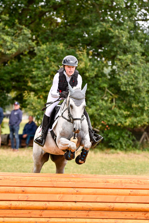 Goldene Schärpe Ponys in Hohenberg Krusemark 2024 | 13072024 Gelände 1 Abt_847 