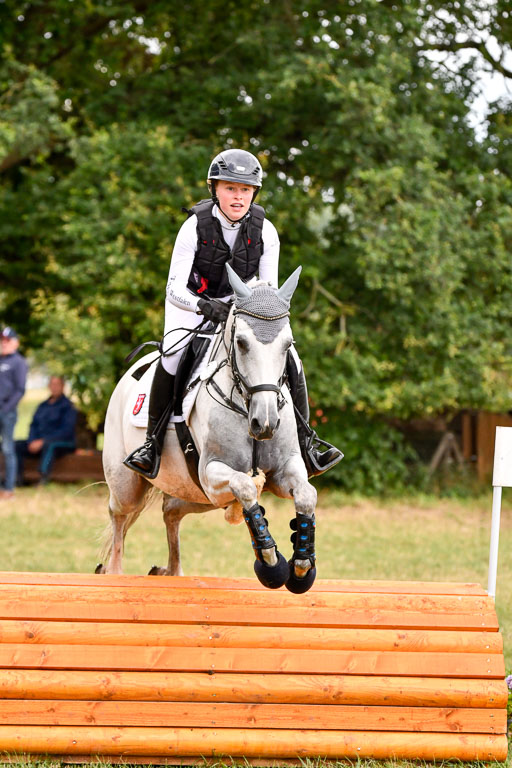 Goldene Schärpe Ponys in Hohenberg Krusemark 2024 | 13072024 Gelände 1 Abt_848 