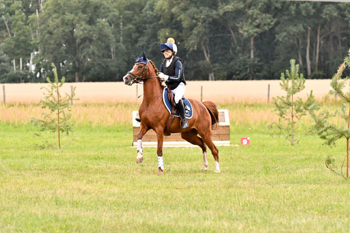Goldene Schärpe Ponys in Hohenberg Krusemark 2024 | 13072024 Gelände 1 Abt_857 