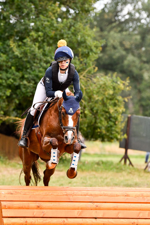 Goldene Schärpe Ponys in Hohenberg Krusemark 2024 | 13072024 Gelände 1 Abt_865 