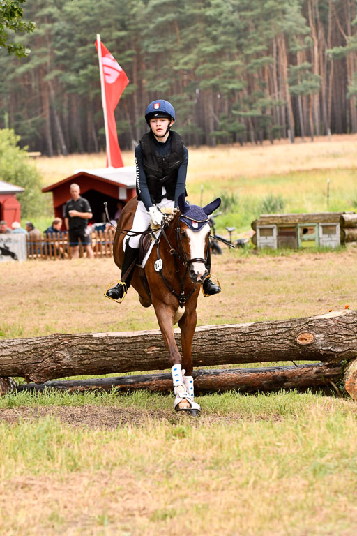Goldene Schärpe Ponys in Hohenberg Krusemark 2024 | 13072024 Gelände 1 Abt_886 