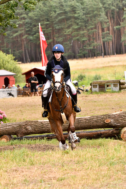 Goldene Schärpe Ponys in Hohenberg Krusemark 2024 | 13072024 Gelände 1 Abt_887 