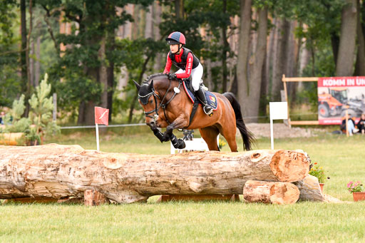 Goldene Schärpe Ponys in Hohenberg Krusemark 2024 | 13072024 Gelände 1 Abt_889 