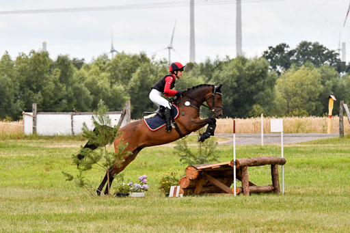 Goldene Schärpe Ponys in Hohenberg Krusemark 2024 | 13072024 Gelände 1 Abt_891 