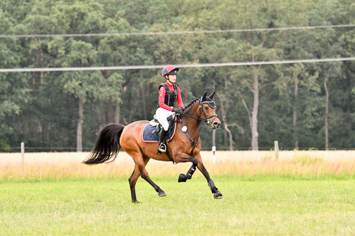 Goldene Schärpe Ponys in Hohenberg Krusemark 2024 | 13072024 Gelände 1 Abt_893 