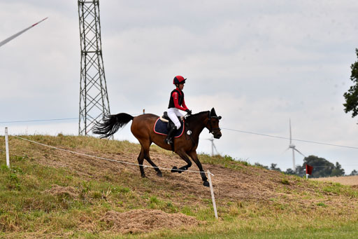 Goldene Schärpe Ponys in Hohenberg Krusemark 2024 | 13072024 Gelände 1 Abt_895 
