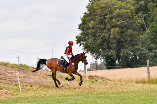 Goldene Schärpe Ponys in Hohenberg Krusemark 2024 | 13072024 Gelände 1 Abt_896 