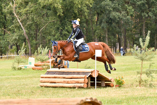 Goldene Schärpe Ponys in Hohenberg Krusemark 2024 | 13072024 Gelände 1 Abt_900 