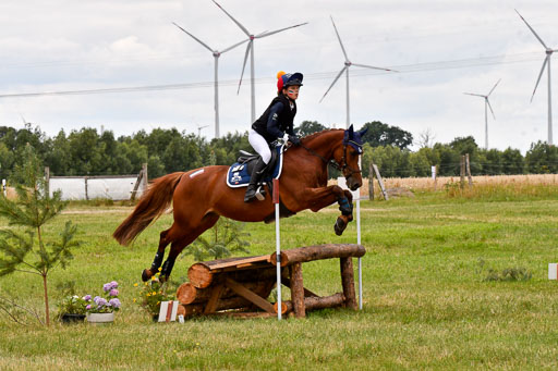 Goldene Schärpe Ponys in Hohenberg Krusemark 2024 | 13072024 Gelände 1 Abt_902 