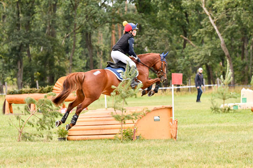 Goldene Schärpe Ponys in Hohenberg Krusemark 2024 | 13072024 Gelände 1 Abt_905 