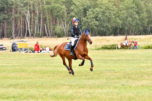 Goldene Schärpe Ponys in Hohenberg Krusemark 2024 | 13072024 Gelände 1 Abt_906 