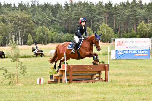 Goldene Schärpe Ponys in Hohenberg Krusemark 2024 | 13072024 Gelände 1 Abt_908 