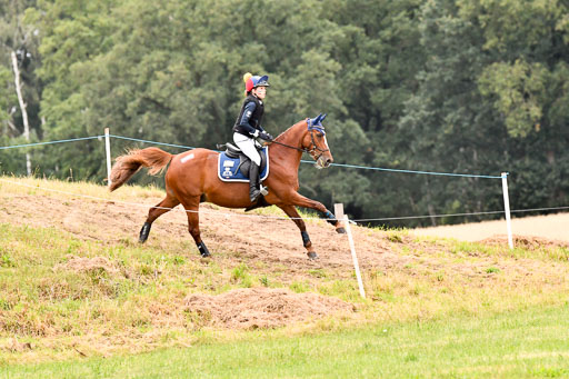 Goldene Schärpe Ponys in Hohenberg Krusemark 2024 | 13072024 Gelände 1 Abt_911 