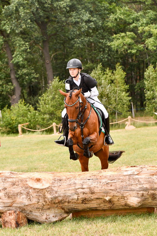 Goldene Schärpe Ponys in Hohenberg Krusemark 2024 | 13072024 Gelände 1 Abt_915 