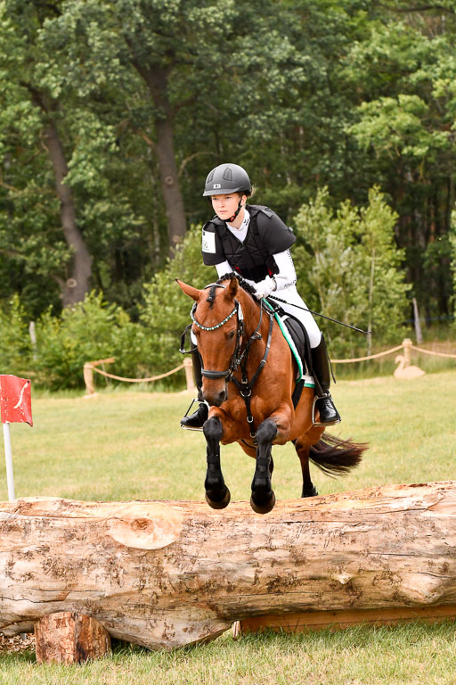 Goldene Schärpe Ponys in Hohenberg Krusemark 2024 | 13072024 Gelände 1 Abt_916 