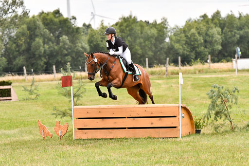 Goldene Schärpe Ponys in Hohenberg Krusemark 2024 | 13072024 Gelände 1 Abt_918 