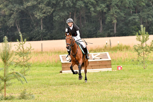 Goldene Schärpe Ponys in Hohenberg Krusemark 2024 | 13072024 Gelände 1 Abt_919 