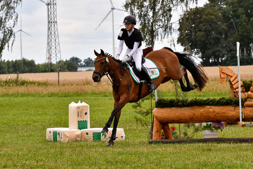 Goldene Schärpe Ponys in Hohenberg Krusemark 2024 | 13072024 Gelände 1 Abt_921 