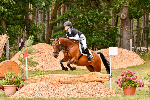 Goldene Schärpe Ponys in Hohenberg Krusemark 2024 | 13072024 Gelände 1 Abt_924 