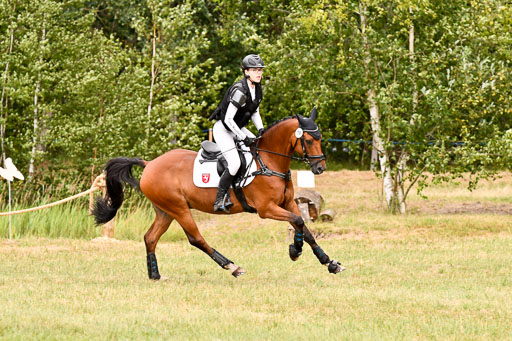 Goldene Schärpe Ponys in Hohenberg Krusemark 2024 | 13072024 Gelände 1 Abt_931 