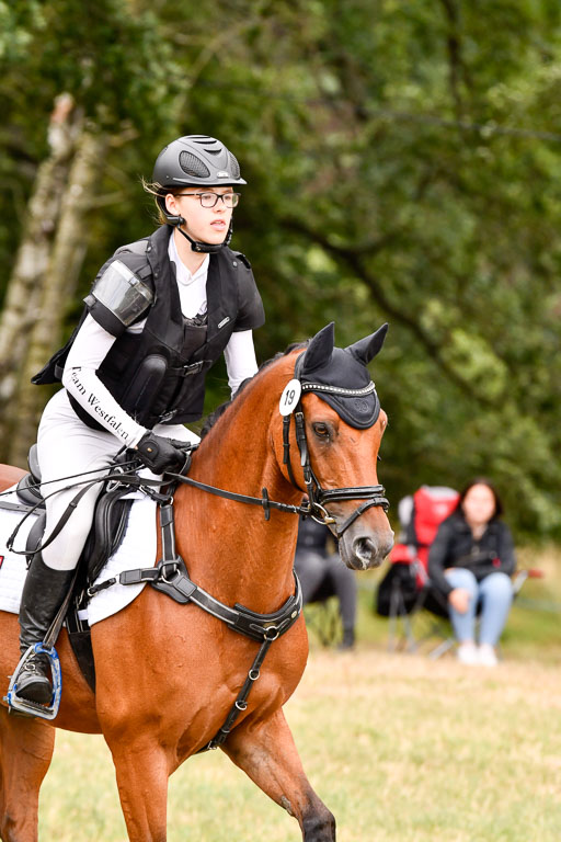 Goldene Schärpe Ponys in Hohenberg Krusemark 2024 | 13072024 Gelände 1 Abt_933 