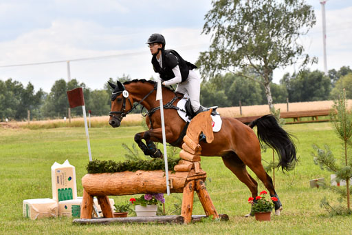 Goldene Schärpe Ponys in Hohenberg Krusemark 2024 | 13072024 Gelände 1 Abt_935 