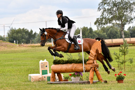 Goldene Schärpe Ponys in Hohenberg Krusemark 2024 | 13072024 Gelände 1 Abt_936 