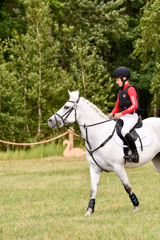 Goldene Schärpe Ponys in Hohenberg Krusemark 2024 | 13072024 Gelände 1 Abt_937 