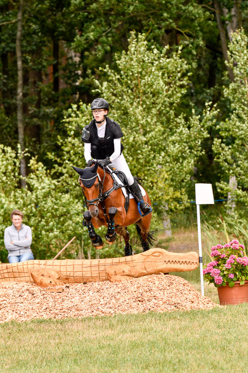 Goldene Schärpe Ponys in Hohenberg Krusemark 2024 | 13072024 Gelände 1 Abt_939 