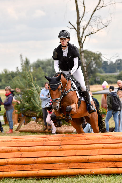 Goldene Schärpe Ponys in Hohenberg Krusemark 2024 | 13072024 Gelände 1 Abt_940 