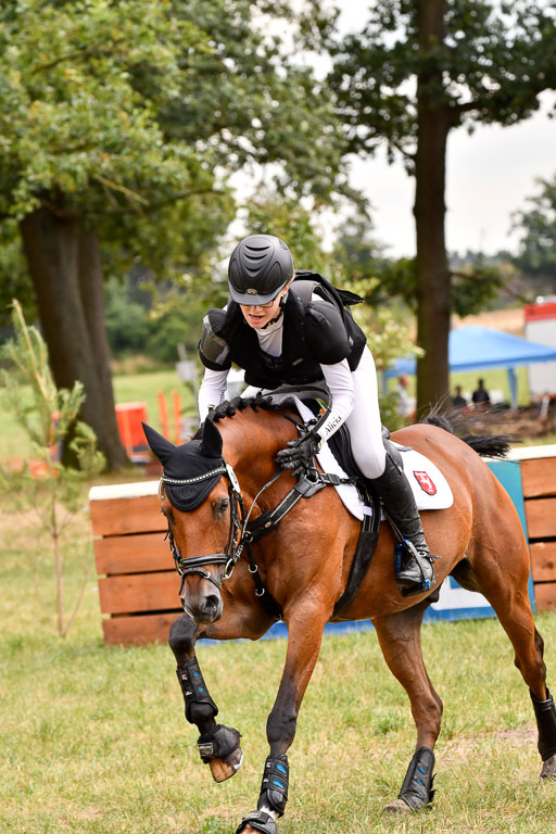 Goldene Schärpe Ponys in Hohenberg Krusemark 2024 | 13072024 Gelände 1 Abt_941 