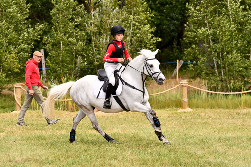 Goldene Schärpe Ponys in Hohenberg Krusemark 2024 | 13072024 Gelände 1 Abt_944 
